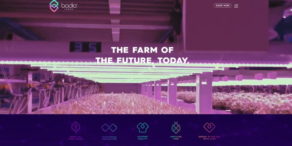 Dubai's Agriculture Technology Revolution: Top 10 Startups Transforming Desert Farming